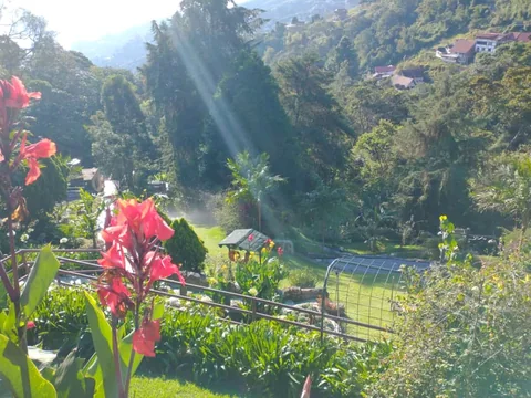 Jardín con flores rojas y vista a las montañas