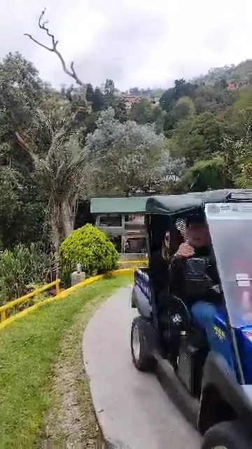 Paseo en carritos